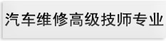 汽车维修高级技师专业
